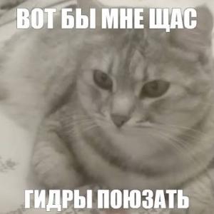 arci